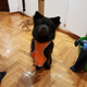 It looks like we’re walking a shadow at night.... I introduce you to Construction Worker Jax.